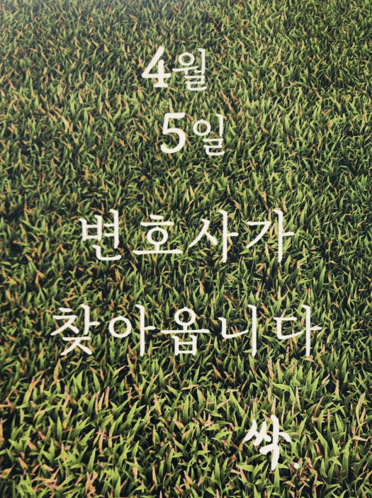 대전변호사로펌